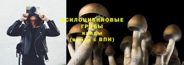 mix Каменка