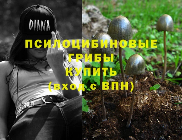 mix Каменка