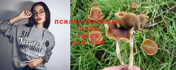 mix Каменка